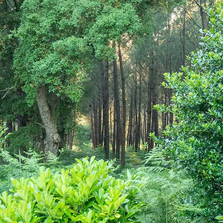 Forest & Ocean House With Guest & Garden Villa Seignosse